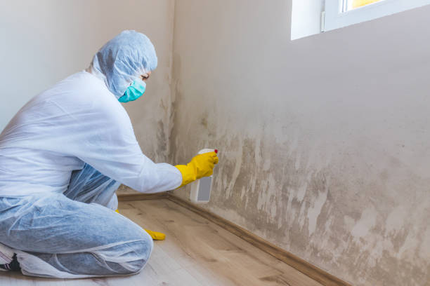 Hvac And Air Duct Mold Remediation inspection of HVAC system in Bath